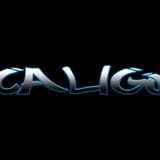 Caligo Lucia 2013