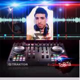Los Armadillos de la sierra mix tobitadj El de Queretaro