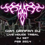 Tribal House Live DJ Set Feb 2014