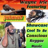 #JAHMALI SHOWCASE PART ONE WAYNE IRIE COOL TO CONSCIOUS REGGAE MUSIC