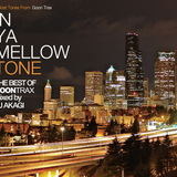 THE BEST OF IN YA MELLOW TONE mixed by DJ AKAGI (Release Candidate 2)