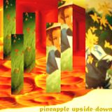 Pineapple Upside-Down Mix