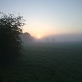Something Missing