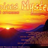 Andrew Wonderfull - Voices mystery 010 episode