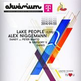 Denis a.k.a Phrenetic-- TrueSounds pres. Lake People & Alex Niggemann - DJ Contest Mix