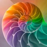 Synchronicity