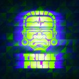 Tribal Pulse Podcast 004: Johnny Kaos