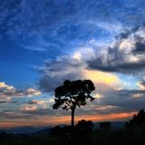 Mix Trance #113 (lenght : 1h32')