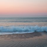 long time no sea