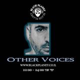 Other Voices Vol. #8