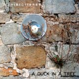 A Duck in a Tree 2013-07-27 | An Unrecorded Existence