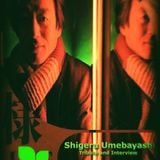 City Lights_Shigeru Umebayashi_A tribute and an Interview