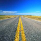 Roadtrip Live