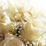 wedding compilation