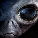 AREA 51