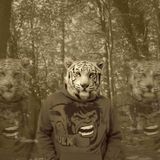 Progressive Trance set