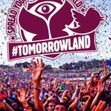 In The Mix Summer # 8 (Tomorrowland Special) by Dj Toniki