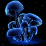 CHRONICLES OF DRUM AND BASS LIVE SHOW @ROUGH TEMPO - 09/12/13