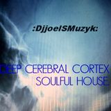 DEEP CEREBRAL CORETEX mix vol 107
