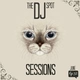 The Dj Spot Sessions (Ep.52)