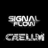 DJ Caelum - Live on Signal Flow Radio - Recorded 02/26/2013 from Los Angeles, CA