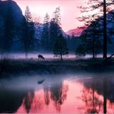 Hypnotic River