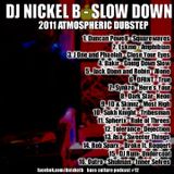Slow Down - (2011 Atmospheric Dubstep) Bass Culture Podcast #12