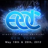Markus Schulz - Live at Electric Daisy Carnival in New York (19.05.2012)