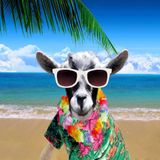 Dj Mauri Maori _-_the Year of the Goat_ Dic.2015