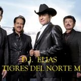 DJ ELIAS - Los Tigres Del Norte Mix