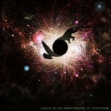 Kinky Brain Monkey ~ Duif iNc - a taste of the unknown side of your brain