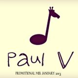 paulV - January 2013 PROMOTIONAL MIX