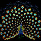 Brandon Adams - Equinox Summer Festival 2014 - Asheville, NC (Live Recorded Set)