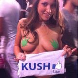 DJ KUSH - LICK WEED MIX