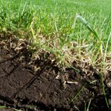 Perennial Polyculture ep 1