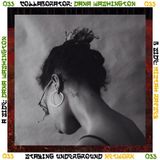 Collaborator 033: Dana Washington