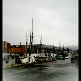 Sodd og Bacalao