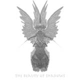 The Beauty of Shadows