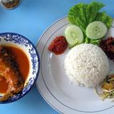 ikan patin