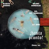 Silent Sundaze Nr.36 - ¡hasta pronto!