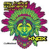 PSY TRANCE EXPERIENCE 11 MIXED BY KNOX
