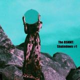 The BSMNT: Shakedown #1