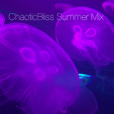 Summer Tech House Bliss Mix