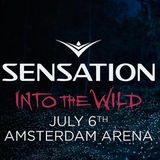 Nicky Romero - Live @ Into The Wild Sensation (Netherlands) 2013.07.06.