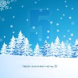 VA - Your winter night 5
