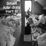 Small july 2011 digs ; the attic part II
