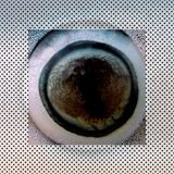 #SANGROBASS y ADUBINOFUTURE#part6#(stepcondub-fuckkkwork-presente,pasado,future bass)