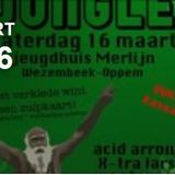 Rumble in the Jungle 2013 (LIVE) | J.H. Merlijn