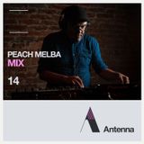 #ANTENNAMIX 014 PEACH MELBA