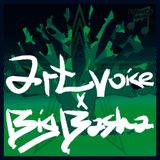 Artvoice x Big Basha